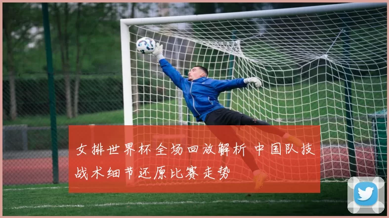 女排世界杯全场回放解析 中国队技战术细节还原比赛走势